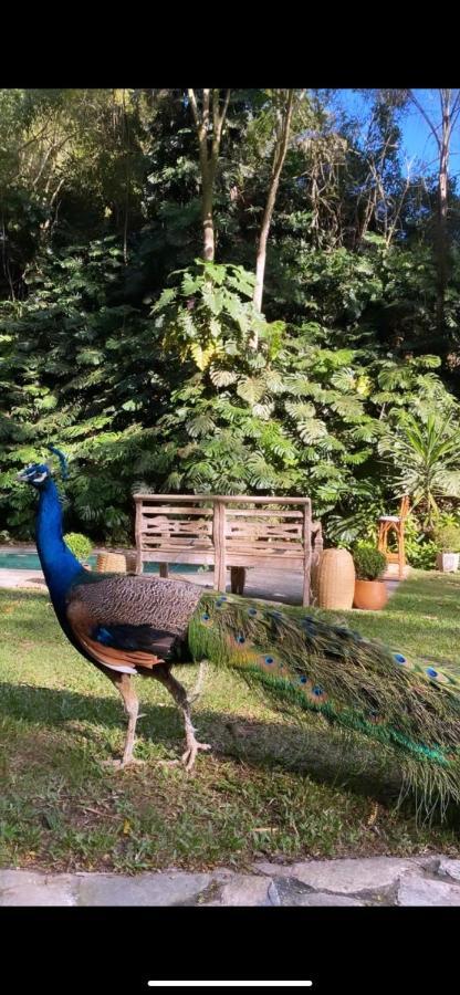 Exclusive Oasis By Lotta De Macedo Soares Bed and Breakfast Correas Exteriör bild