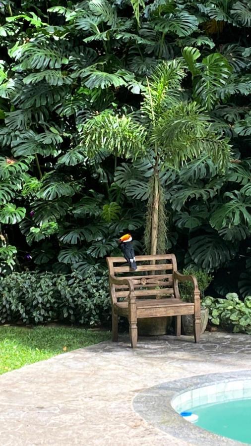 Exclusive Oasis By Lotta De Macedo Soares Bed and Breakfast Correas Exteriör bild