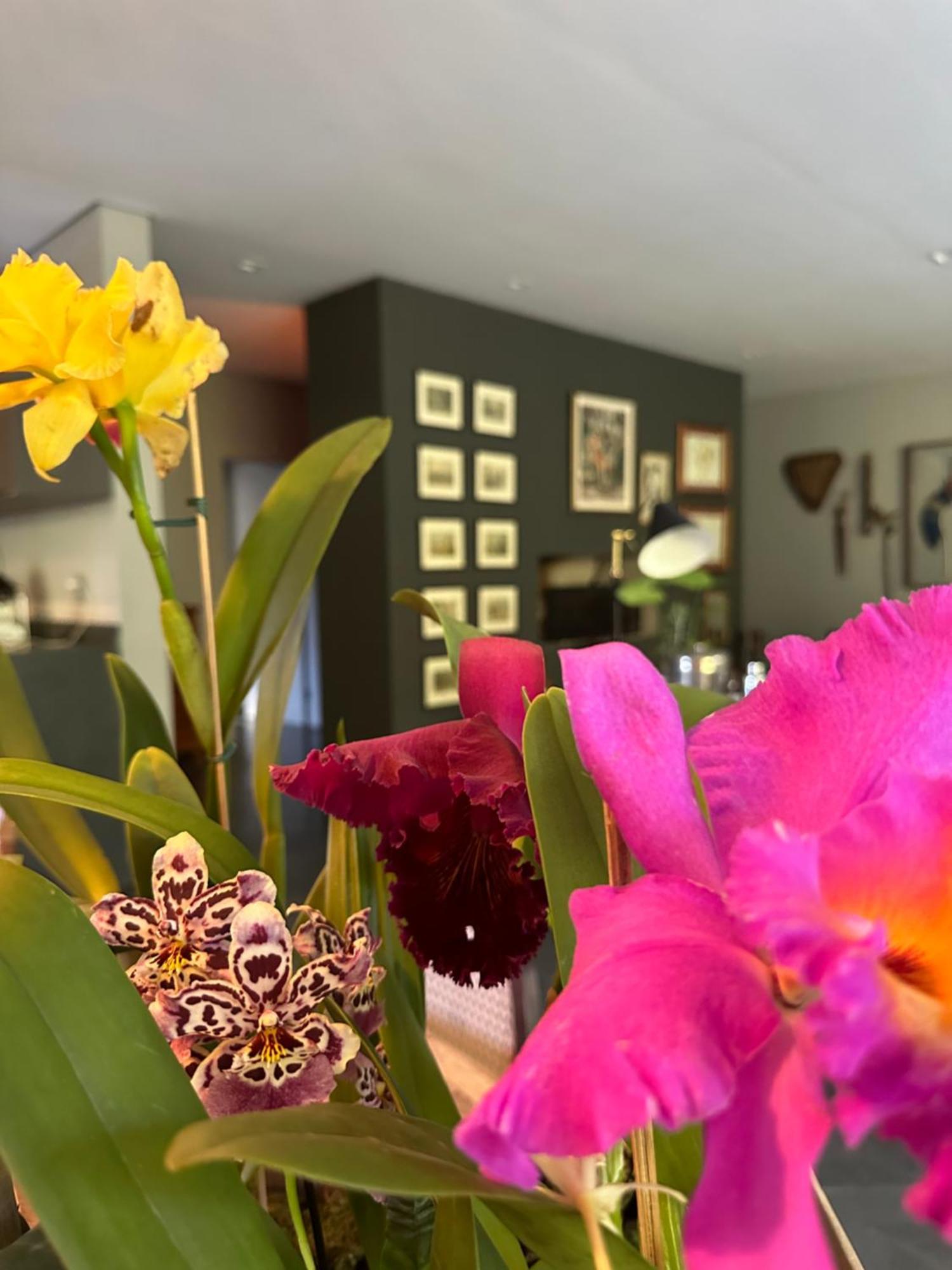 Exclusive Oasis By Lotta De Macedo Soares Bed and Breakfast Correas Exteriör bild